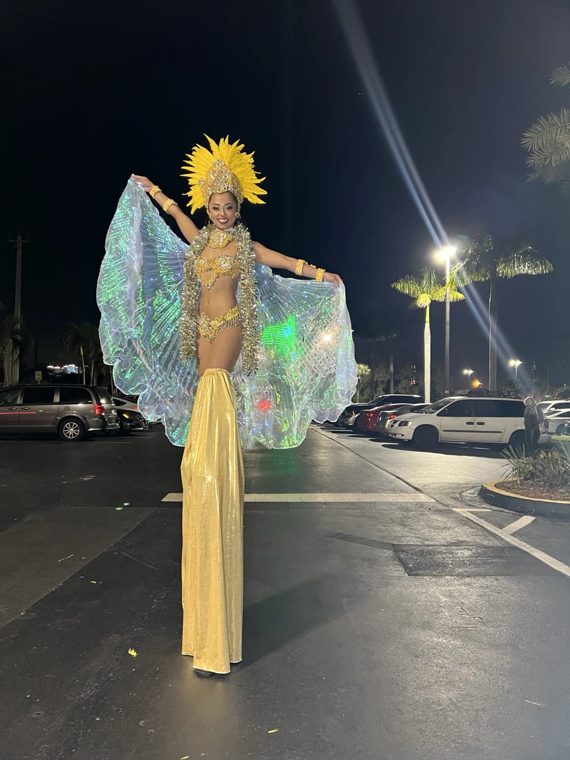 Carnival performer with wings